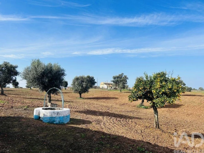 Terreno para Venda em Ferreira do Alentejo e Canhestros Foto 21