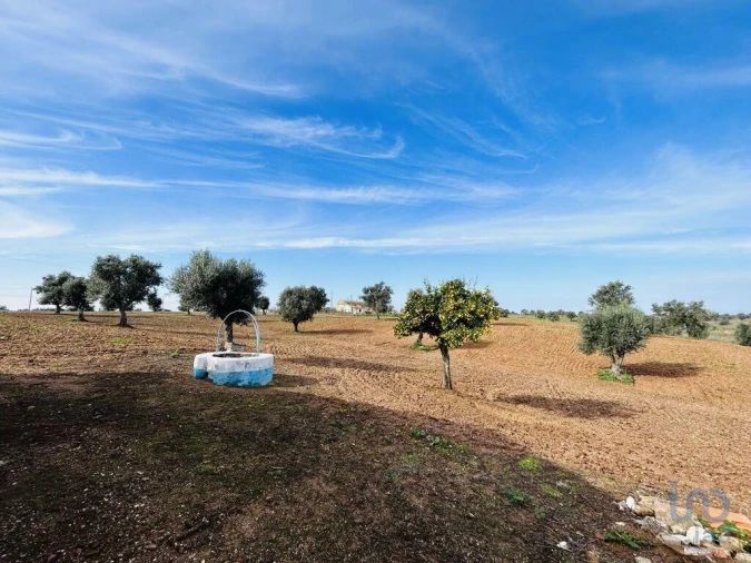 Terreno para Venda em Ferreira do Alentejo e Canhestros Foto 3