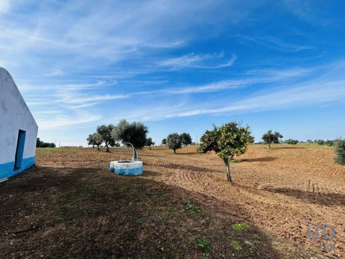 Terreno para Venda em Ferreira do Alentejo e Canhestros Foto 10