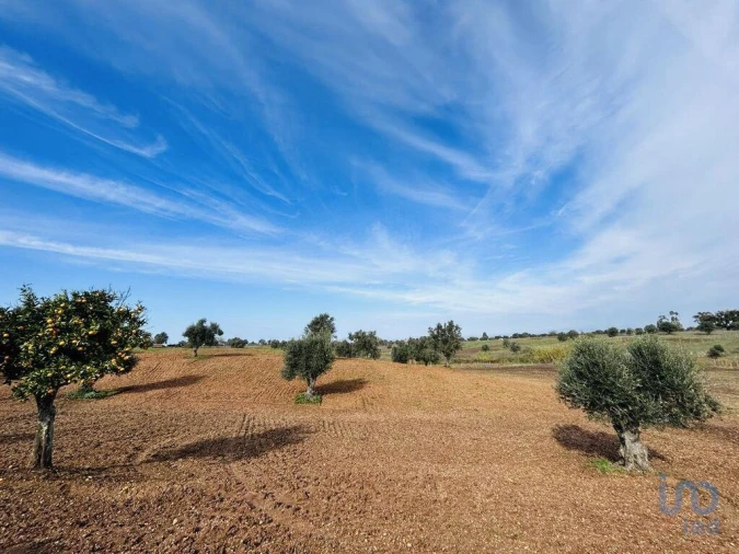 Terreno para Venda em Ferreira do Alentejo e Canhestros Foto 7