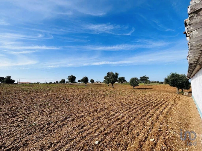 Terreno para Venda em Ferreira do Alentejo e Canhestros Foto 14