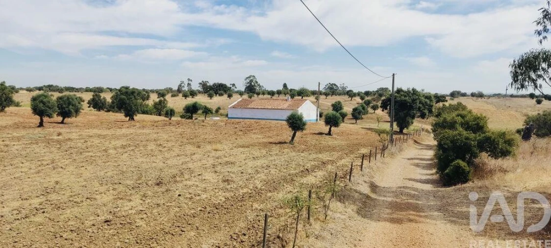 Terreno para Venda em Ferreira do Alentejo e Canhestros Foto 19