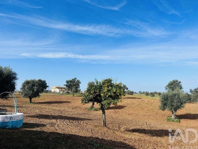Terreno para Venda em Ferreira do Alentejo e Canhestros Foto 17