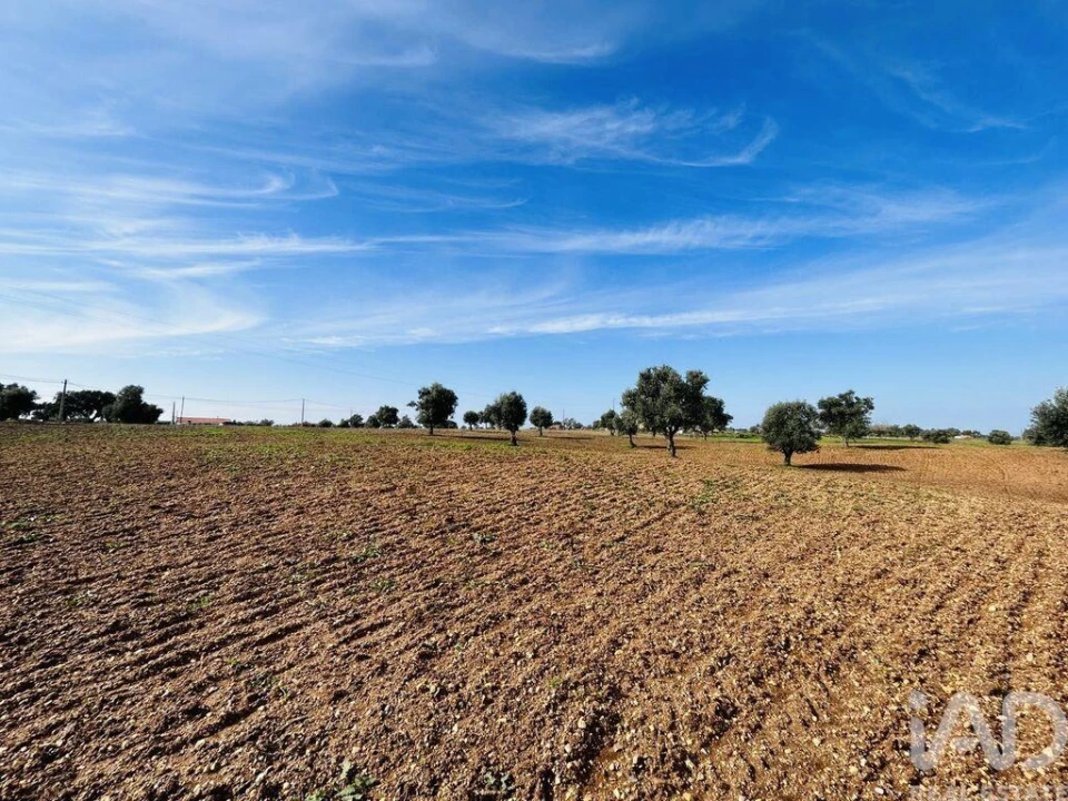 Terreno para Venda em Ferreira do Alentejo e Canhestros Foto 16