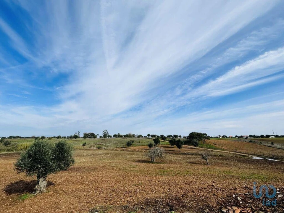 Terreno para Venda em Ferreira do Alentejo e Canhestros Foto 8