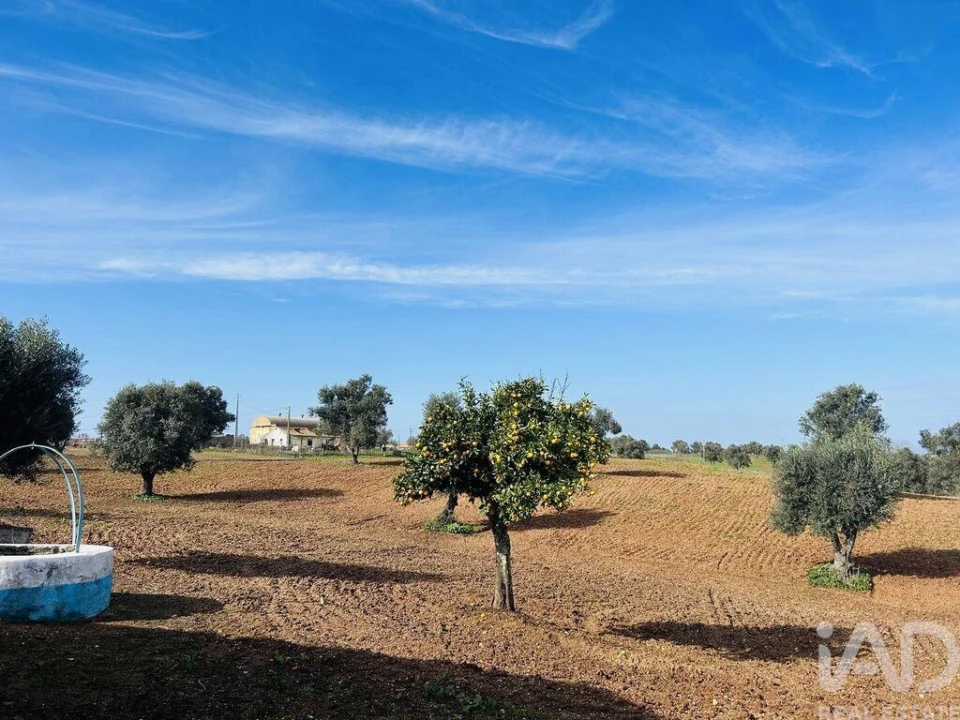 Terreno para Venda em Ferreira do Alentejo e Canhestros Foto 17