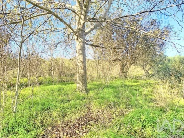 Terreno para Venda em Palmela