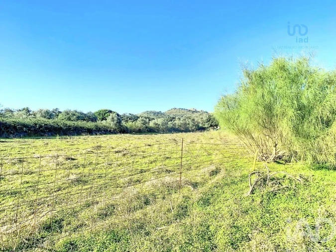 Terreno para Venda em Palmela Foto 15