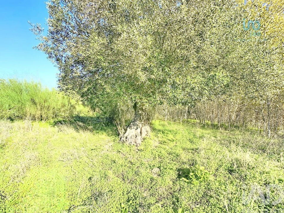 Terreno para Venda em Palmela Foto 14