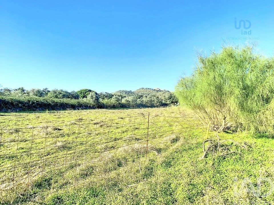 Terreno para Venda em Palmela Foto 15