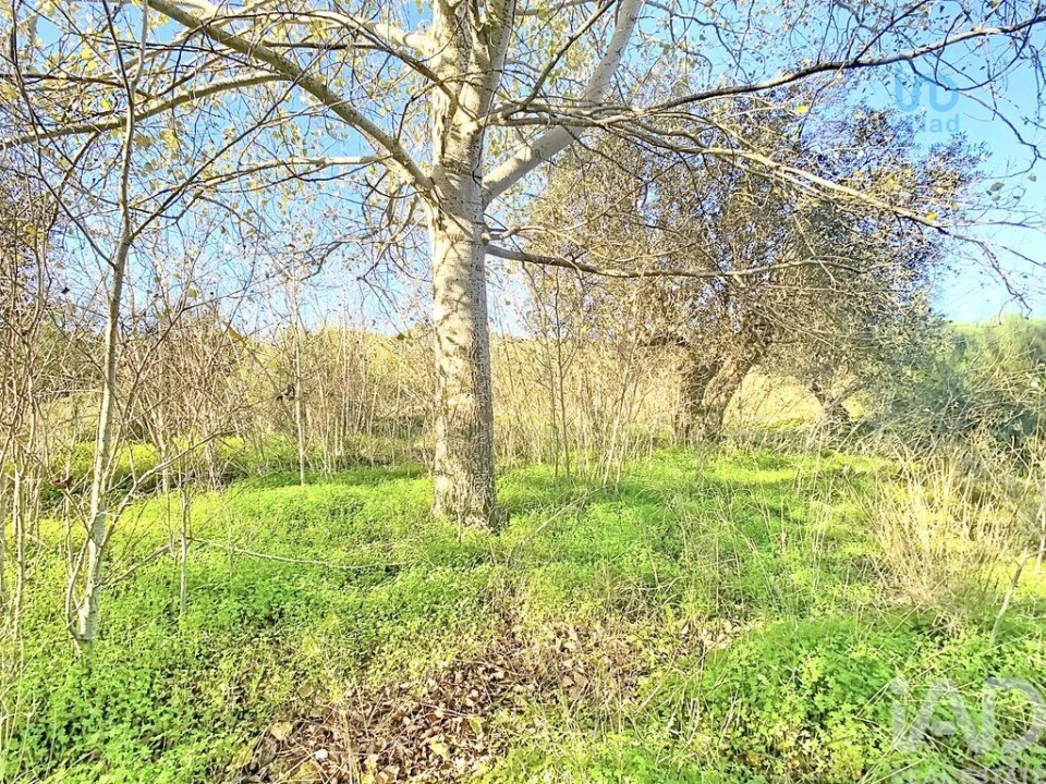 Terreno para Venda em Palmela Foto 11
