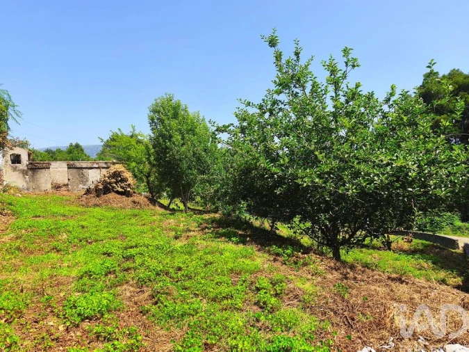 Moradia T2 para Venda em Lanheses Foto 24