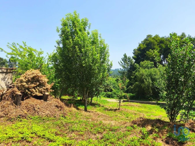 Moradia T2 para Venda em Lanheses Foto 13