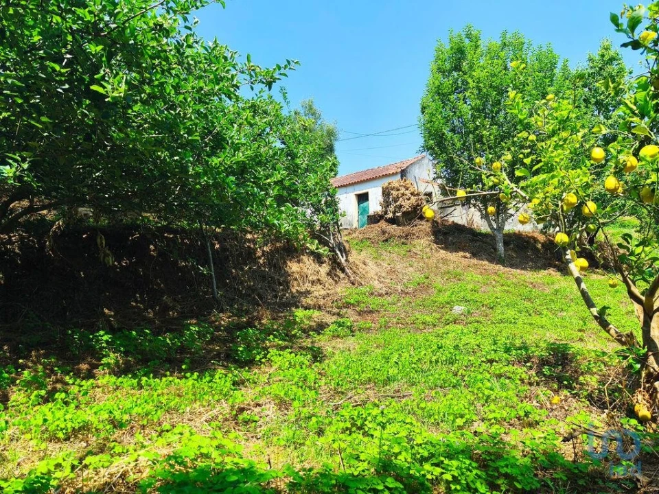 Moradia T2 para Venda em Lanheses Foto 12