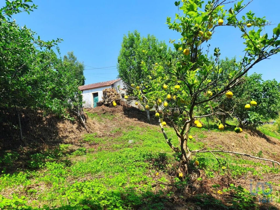 Moradia T2 para Venda em Lanheses Foto 11