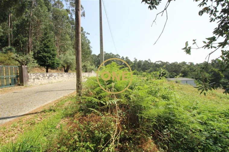 Terreno para Venda em Louro Foto 9