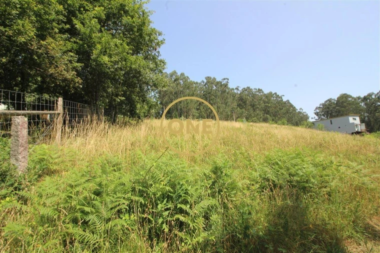 Terreno para Venda em Louro Foto 4