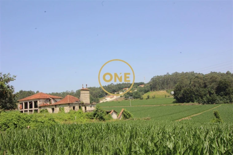 Terreno para Venda em Louro Foto 2