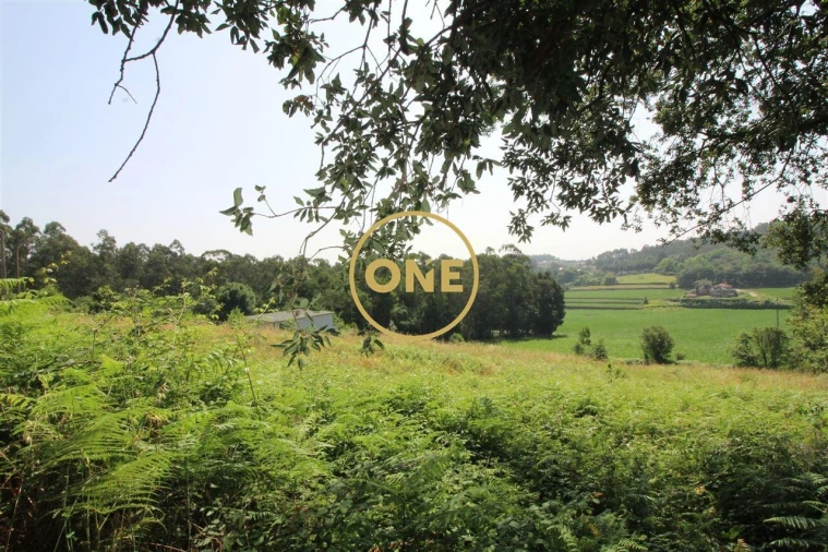 Terreno para Venda em Louro Foto 8