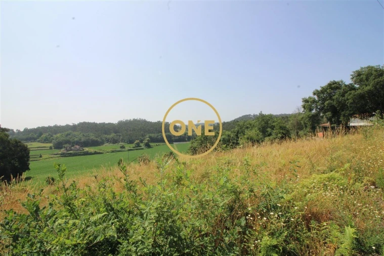 Terreno para Venda em Louro Foto 6