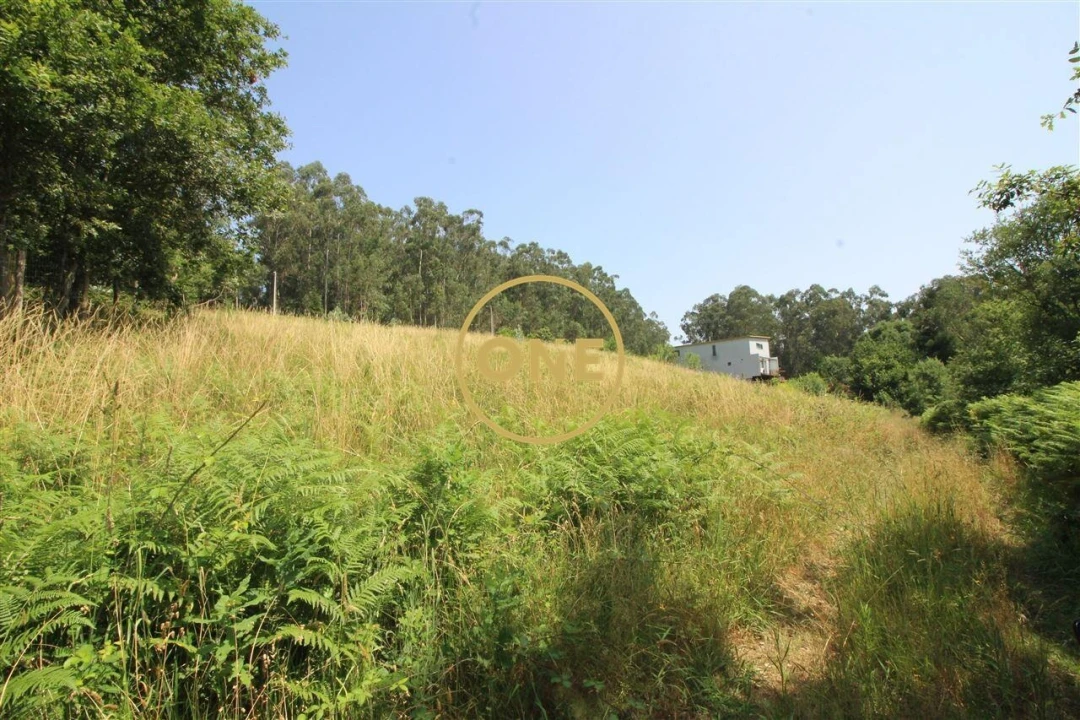 Terreno para Venda em Louro Foto 3