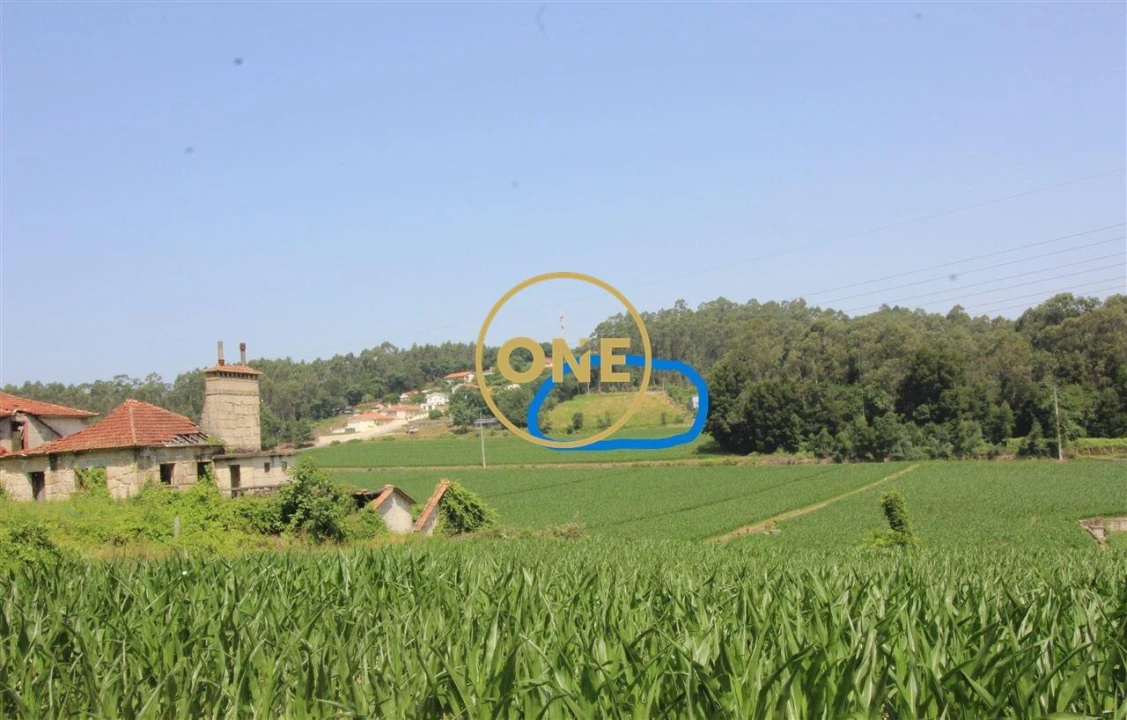 Terreno para Venda em Louro Foto 1