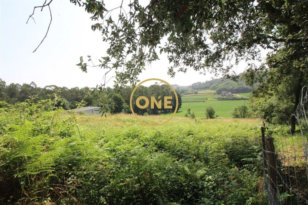 Terreno para Venda em Louro Foto 10