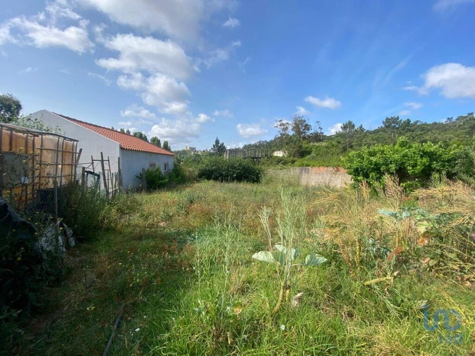 Moradia para Venda em Santa Maria, São Pedro e Sobral da Lagoa Foto 9