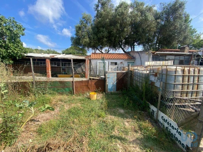 Moradia para Venda em Santa Maria, São Pedro e Sobral da Lagoa Foto 6