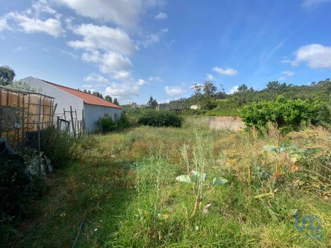 Moradia para Venda em Santa Maria, São Pedro e Sobral da Lagoa Foto 9