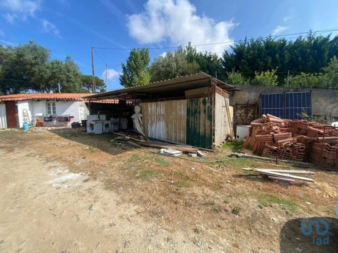 Moradia para Venda em Santa Maria, São Pedro e Sobral da Lagoa Foto 5