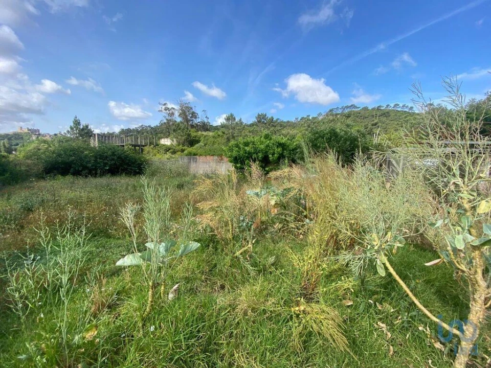 Moradia para Venda em Santa Maria, São Pedro e Sobral da Lagoa Foto 8
