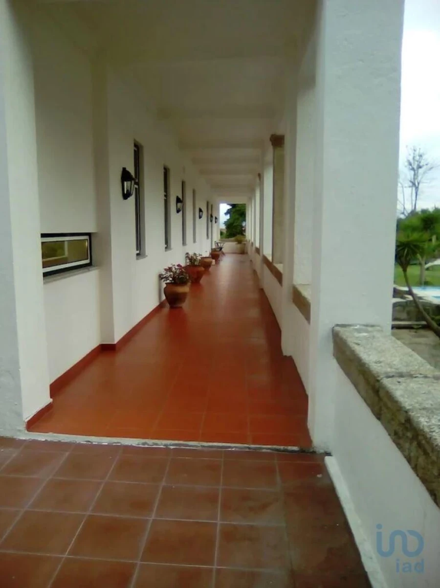 Loja para Venda em Mangualde, Mesquitela e Cunha Alta Foto 6