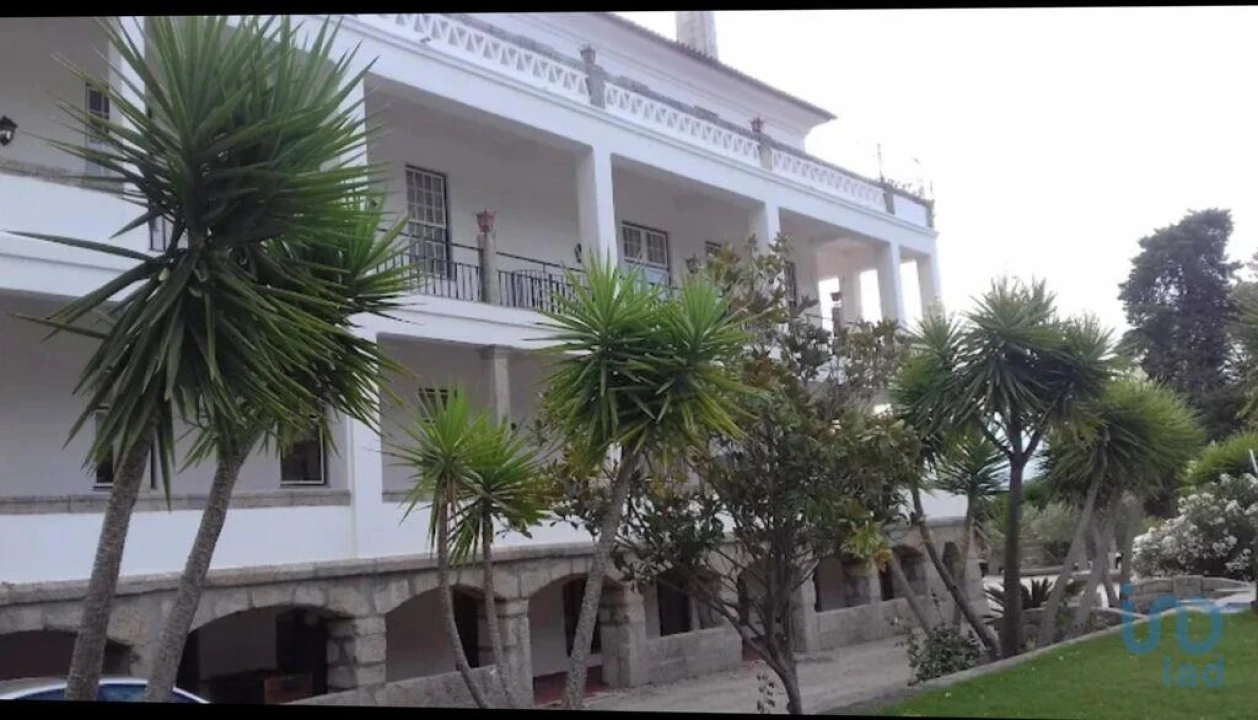 Loja para Venda em Mangualde, Mesquitela e Cunha Alta Foto 11