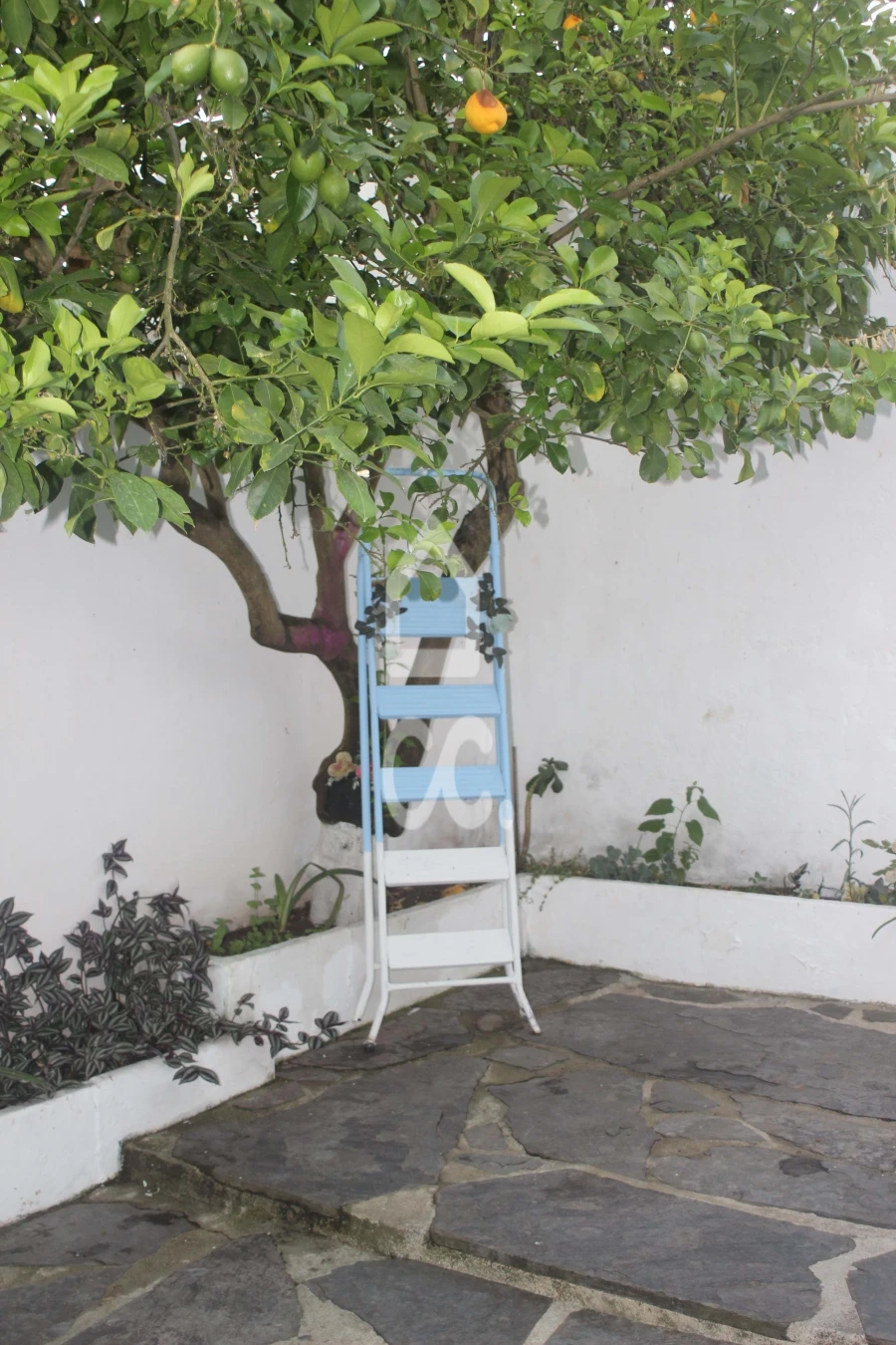 Moradia T4 para Venda em Mourão Foto 28