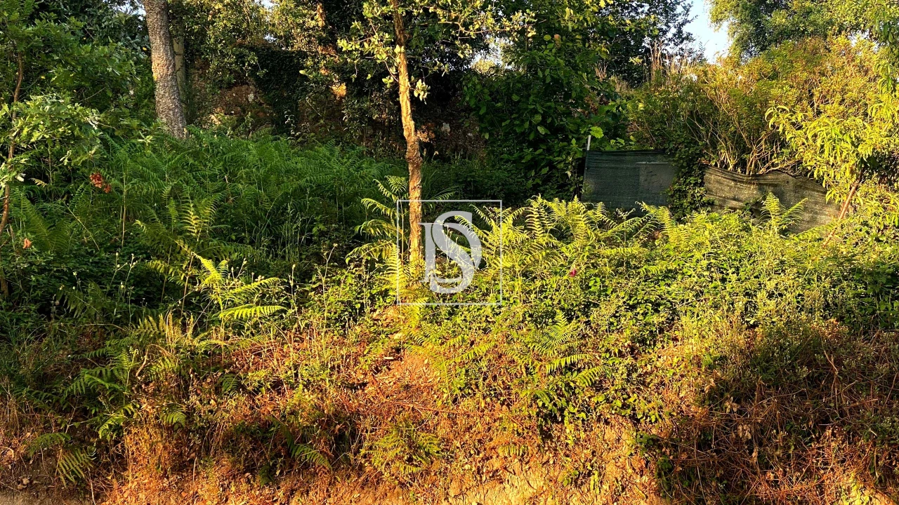 Terreno para Venda em Areias, Sequeirô, Lama e Palmeira Foto 5