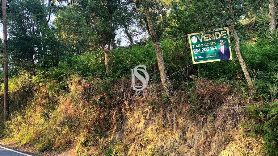 Terreno para Venda em Areias, Sequeirô, Lama e Palmeira Foto 6