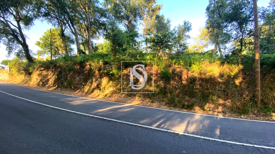 Terreno para Venda em Areias, Sequeirô, Lama e Palmeira Foto 4