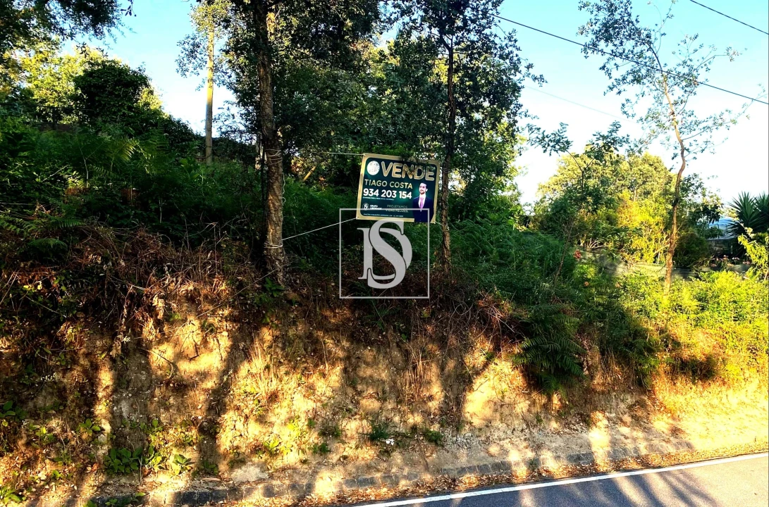 Terreno para Venda em Areias, Sequeirô, Lama e Palmeira Foto 1