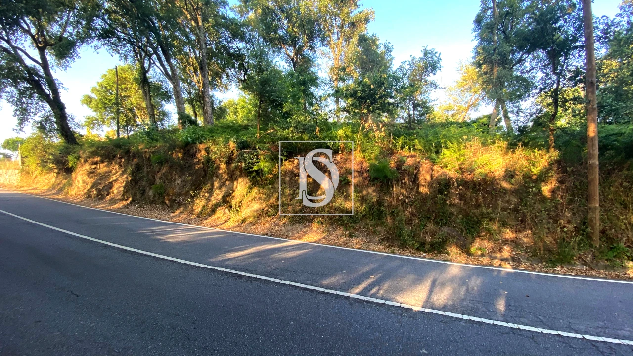 Terreno para Venda em Areias, Sequeirô, Lama e Palmeira Foto 4