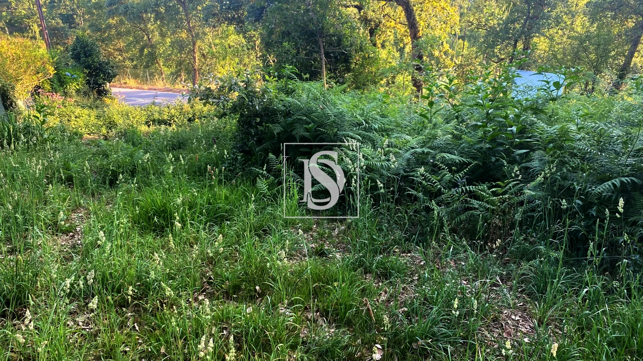 Terreno para Venda em Areias, Sequeirô, Lama e Palmeira Foto 8