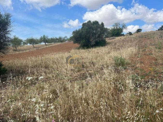 Terreno Agricola ou Rústico para Venda em Boliqueime Foto 2