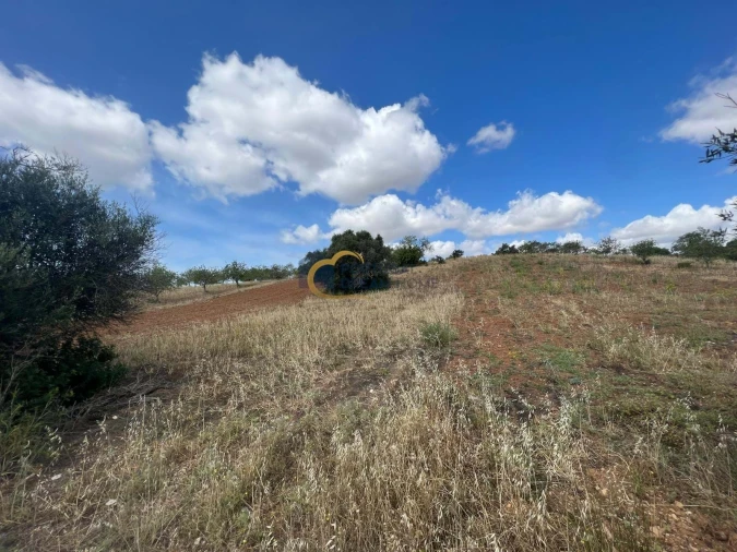 Terreno Agricola ou Rústico para Venda em Boliqueime