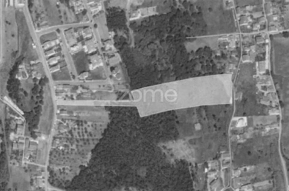 Terreno para Venda em São Martinho do Bispo e Ribeira de Frades