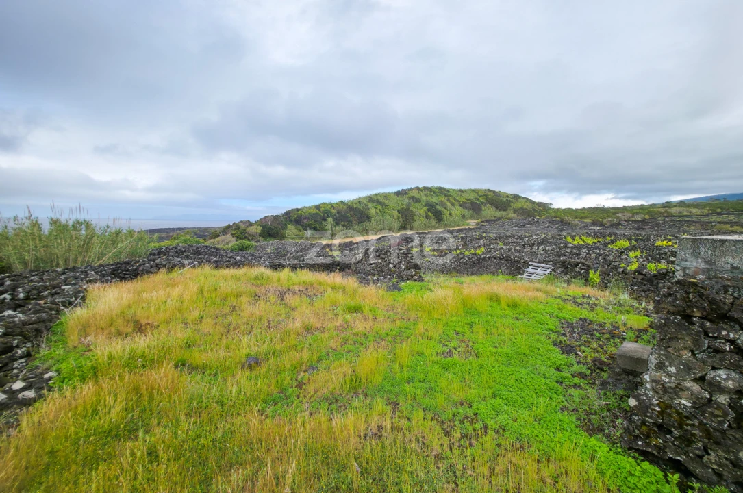 Terreno para Venda em Madalena Foto 13