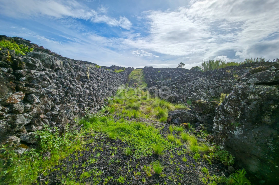 Terreno para Venda em Madalena Foto 4