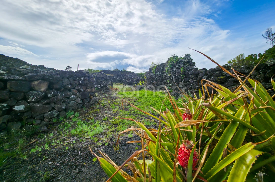 Terreno para Venda em Madalena Foto 11