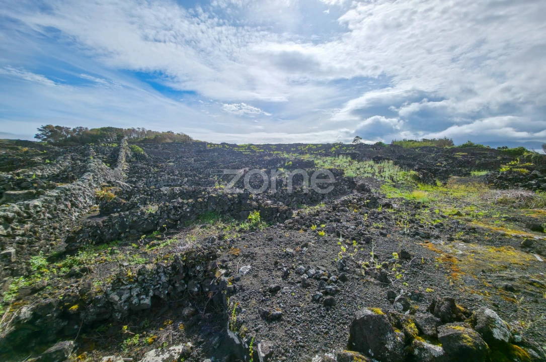 Terreno para Venda em Madalena Foto 8