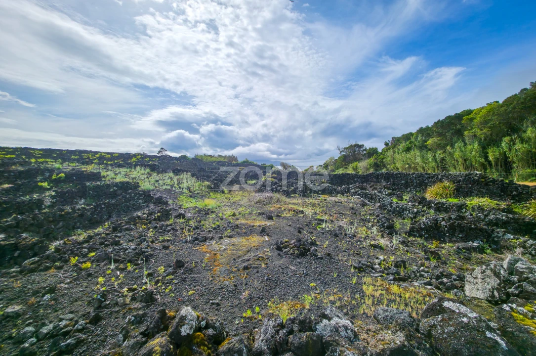 Terreno para Venda em Madalena Foto 7