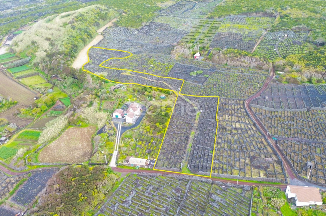 Terreno para Venda em Madalena Foto 2